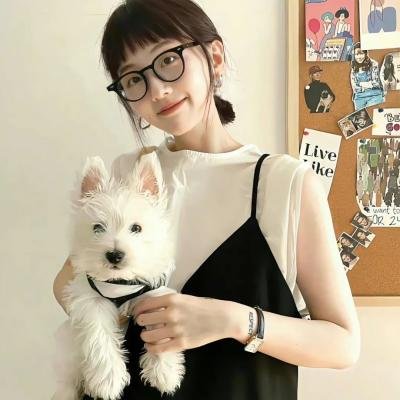 八十龟酱观察日记第一季